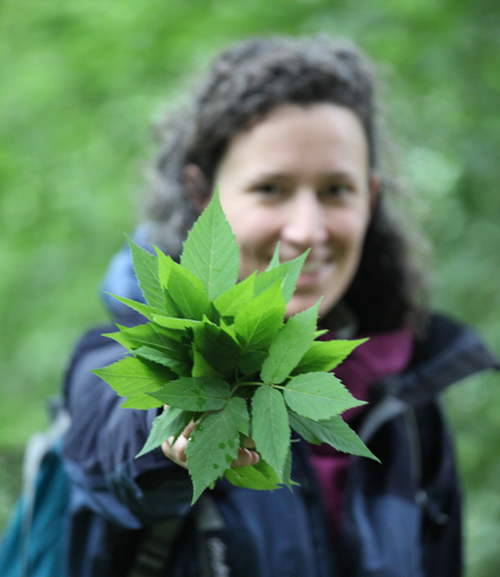 Mathilde Simon botanique Grenoble plantes sauvages comestibles formation