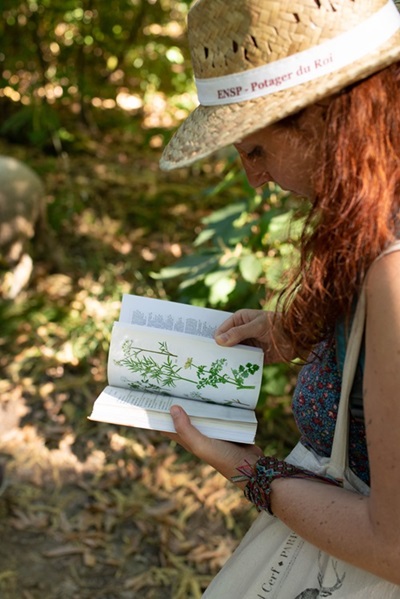 Lucile Chapsal illustratrice botanique